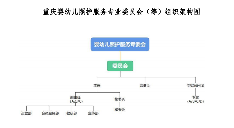 重慶市繼續教育學會嬰幼兒照護服務專業委員會