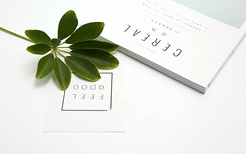 新疆自考生如何查詢成績? 新疆自考生如何查詢成績?