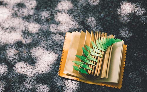 江蘇成人高考本科學費一年多少錢? 江蘇成人高考本科學費一年多少錢?