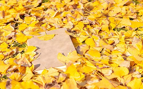 自考歷年真題會重復考嗎？