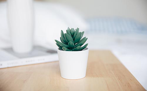 自學考試畢業登記需要提交什么材料？