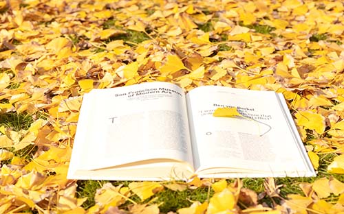 自考教育學就業方向有哪些?