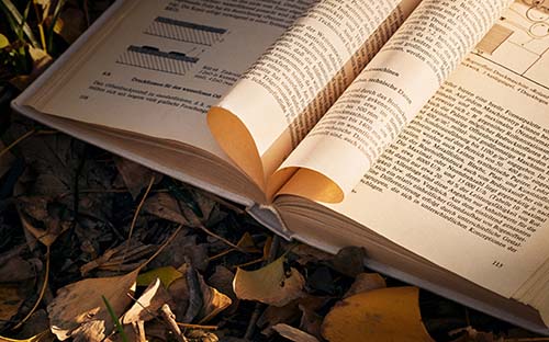 河北成人高考多少分能上線？