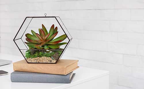 人力資源專業自考怎么樣? 人力資源專業自考怎么樣?