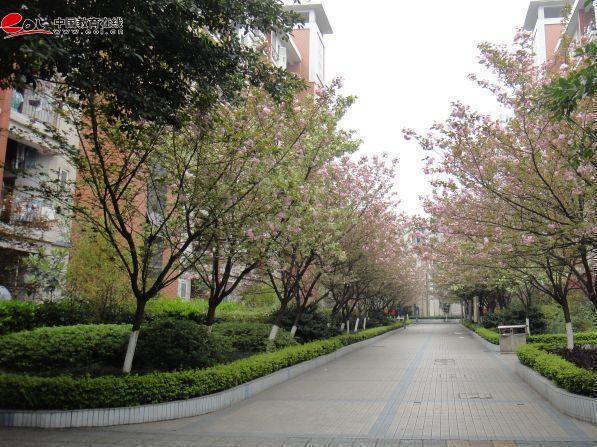 重慶開放大學校園風光