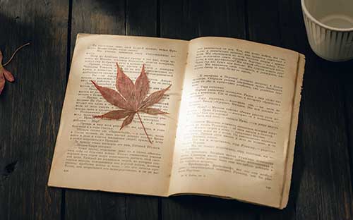 常見的重慶國開專業有什么？