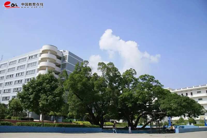 學校校園風光