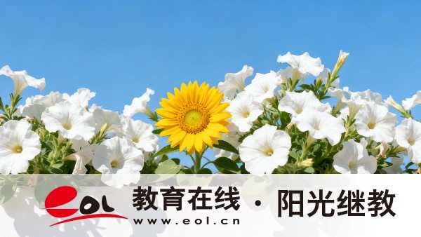 廣西成人高考過了就能拿學歷證書嗎？怎么做好考試準備？