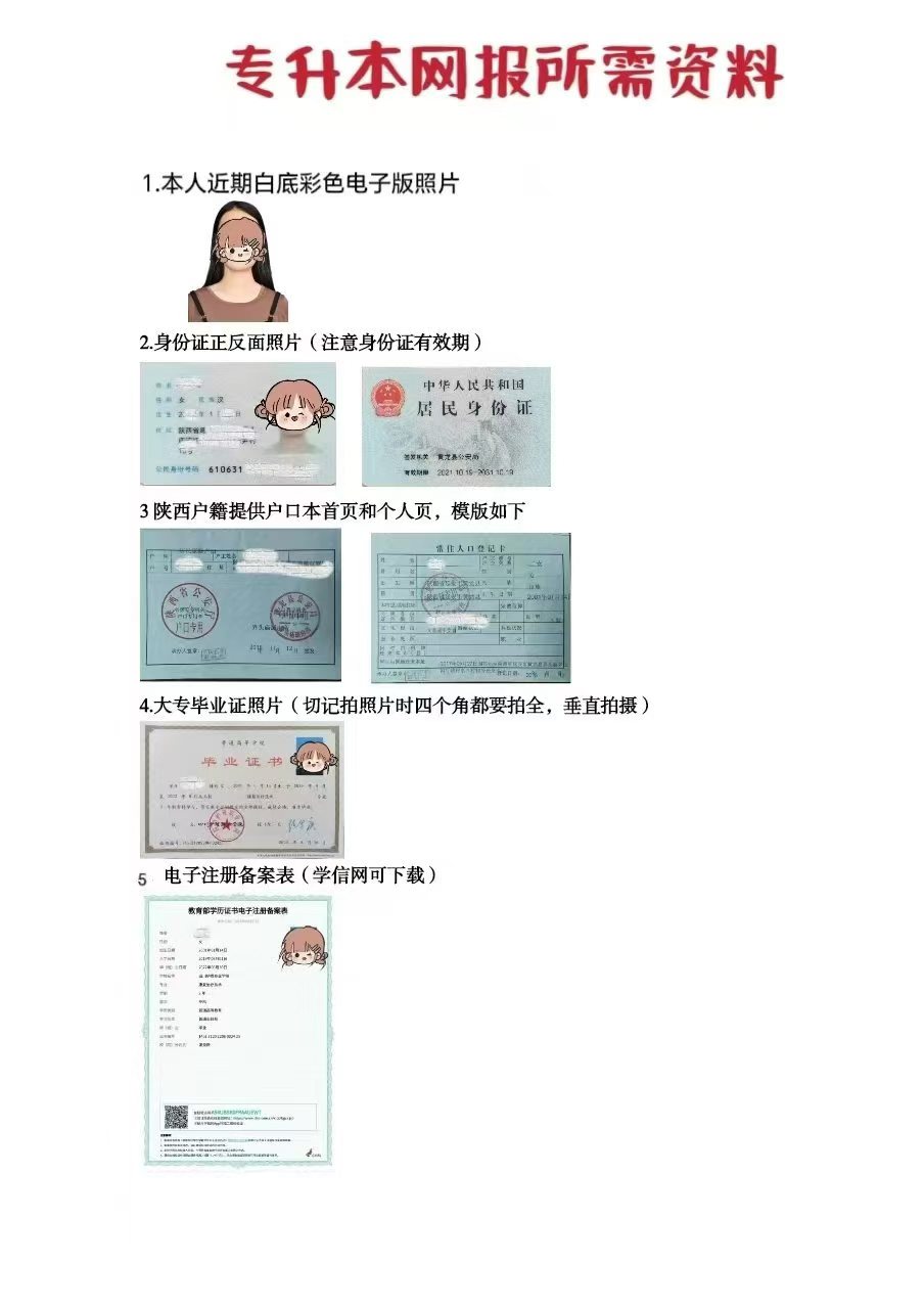 專升本網報所需資料
