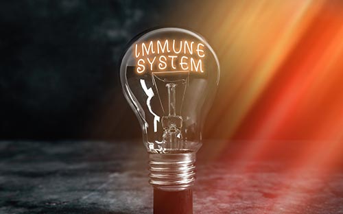 楚雄成人高考專升本網上報名流程是怎么樣的?考試難嗎? 楚雄成人高考專升本網上報名流程是怎么樣的?考試難嗎?