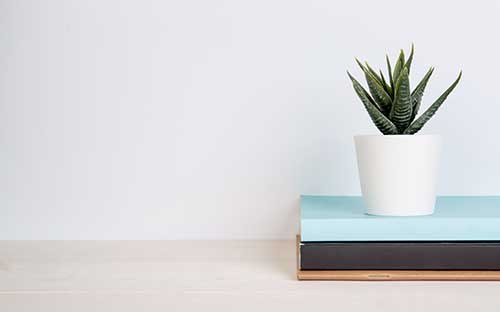 深圳成人高考怎么報名?可以報考哪些大學? 深圳成人高考怎么報名?可以報考哪些大學?