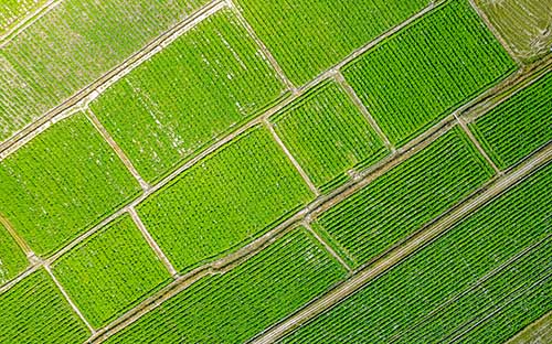 塘沽學歷提升專升本怎么選擇方式？去哪個網站報名？