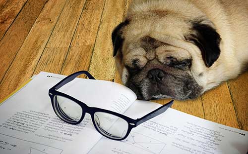 浙江寧波學歷提升成人高考怎么報名?需要注意哪些問題? 浙江寧波學歷提升成人高考怎么報名?需要注意哪些問題?