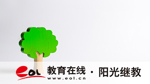 新疆成人高考報名有哪些條件？怎么報名？