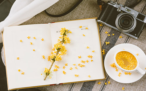 巴楚開放大學招生報名官網網址是什么？