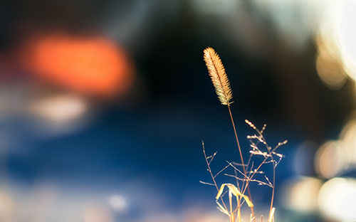 澤普開放大學招生報名官網網址是什么？
