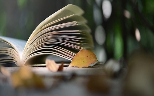 通遼開放大學的地址在哪里？