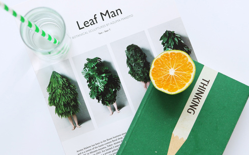 霞山開放大學學費多少錢？