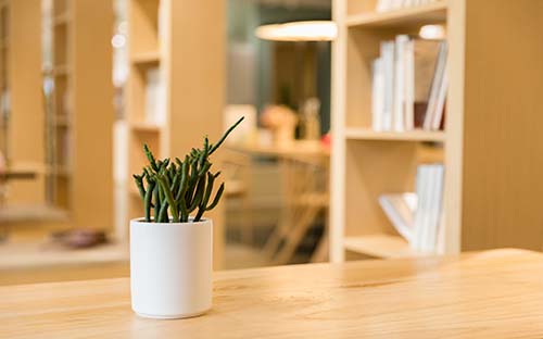 呂梁嵐縣開放大學師資條件怎么樣? 呂梁嵐縣開放大學師資條件怎么樣?