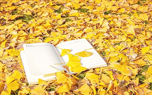 潮州湘橋開放大學學歷國家承認嗎？