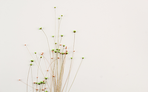 肅州開放大學的學費多少錢？