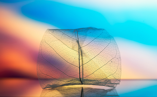 天等開放大學招生報名官網