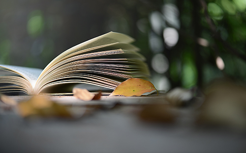 扶綏開放大學的學歷國家承認嗎？