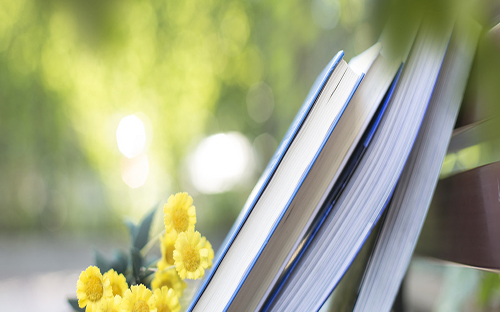 羅城開放大學地址在哪里? 羅城開放大學地址在哪里?