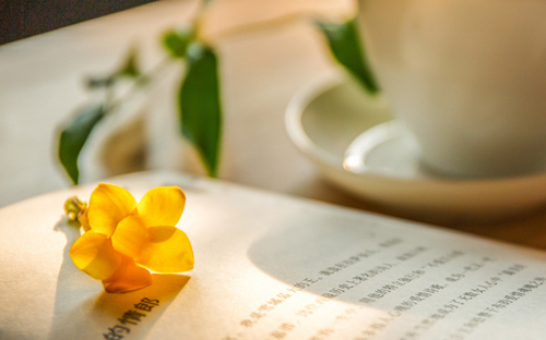 宜州開放大學地址在哪里？