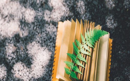 乾安開放大學怎么樣？