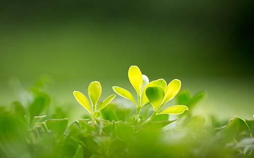 英國留學金融專業要求 英國留學金融專業高校