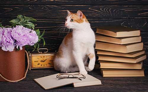 留學游戲設計專業學校