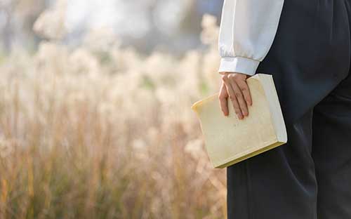 日本留學日本學部、大學院重要時間節點及申請材料