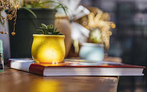 建筑設計專業國外留學大學推薦，哪些比較好