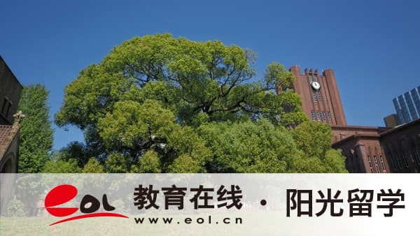 新西蘭動畫專業本科留學怎么申請？申請優勢有哪些？
