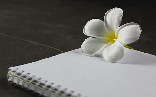 專科在讀可以報名自考本科嗎?需要什么條件? 專科在讀可以報名自考本科嗎?需要什么條件?