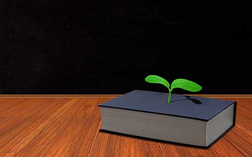 自考報名需要信息審核嗎？畢業證怎么申請？